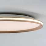 Потолочный cветильник LED4U L3020-500 GD