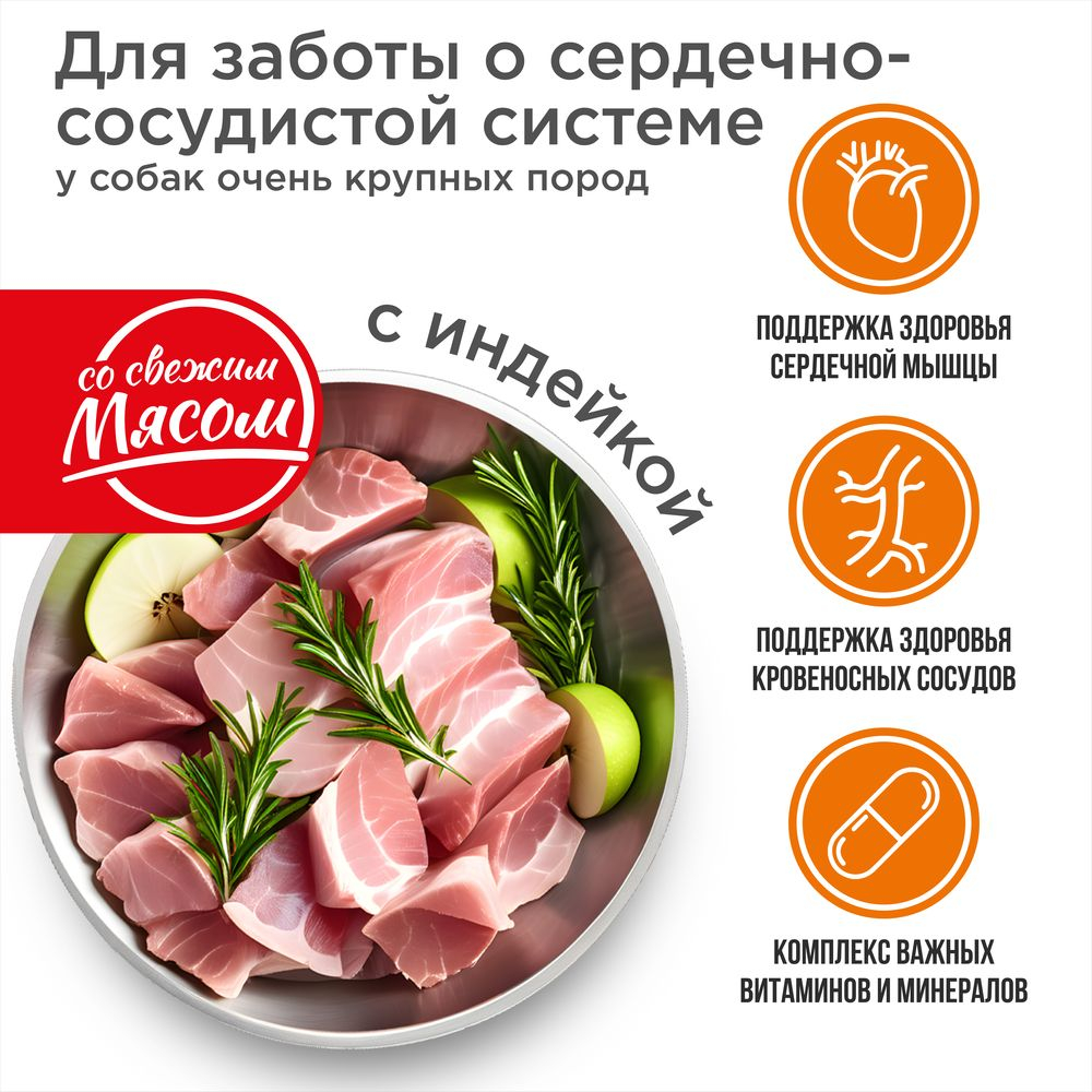 Корм сухой для взрослых собак очень крупных пород, премиум полнорационный комплекс, для заботы сердечно-сосудистой системы, с индейкой, 2,5 кг, QUATTRO