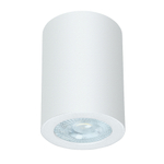 Накладной светильник Arte Lamp TINO A1468PL-1WH
