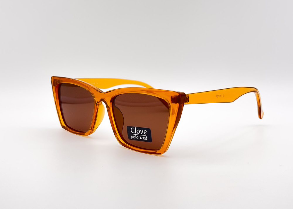 Изг. оправы Clove CV52104 Brown
