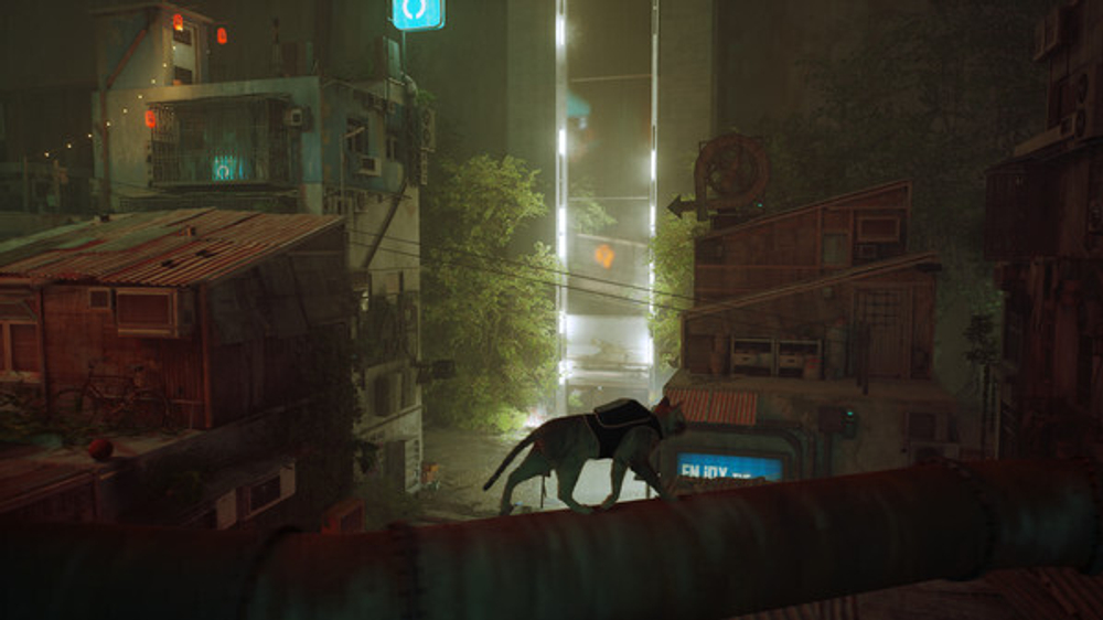 Stray (для Xbox One/Series S/X, интерфейс и субтитры на русском языке) [Цифровой код доступа]