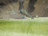 DSCN9709.jpg
