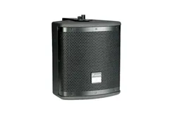 Studiomaster CTR-110 Пассивная инсталляционная акустическая система коаксиального типа