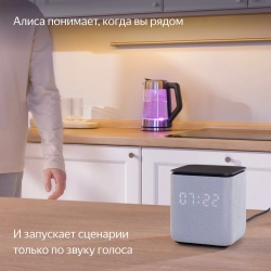 Умная колонка Yandex Станция Миди Алиса малиновый 24W 1.0 BT/Wi-Fi 10м (YNDX-00054PNK)