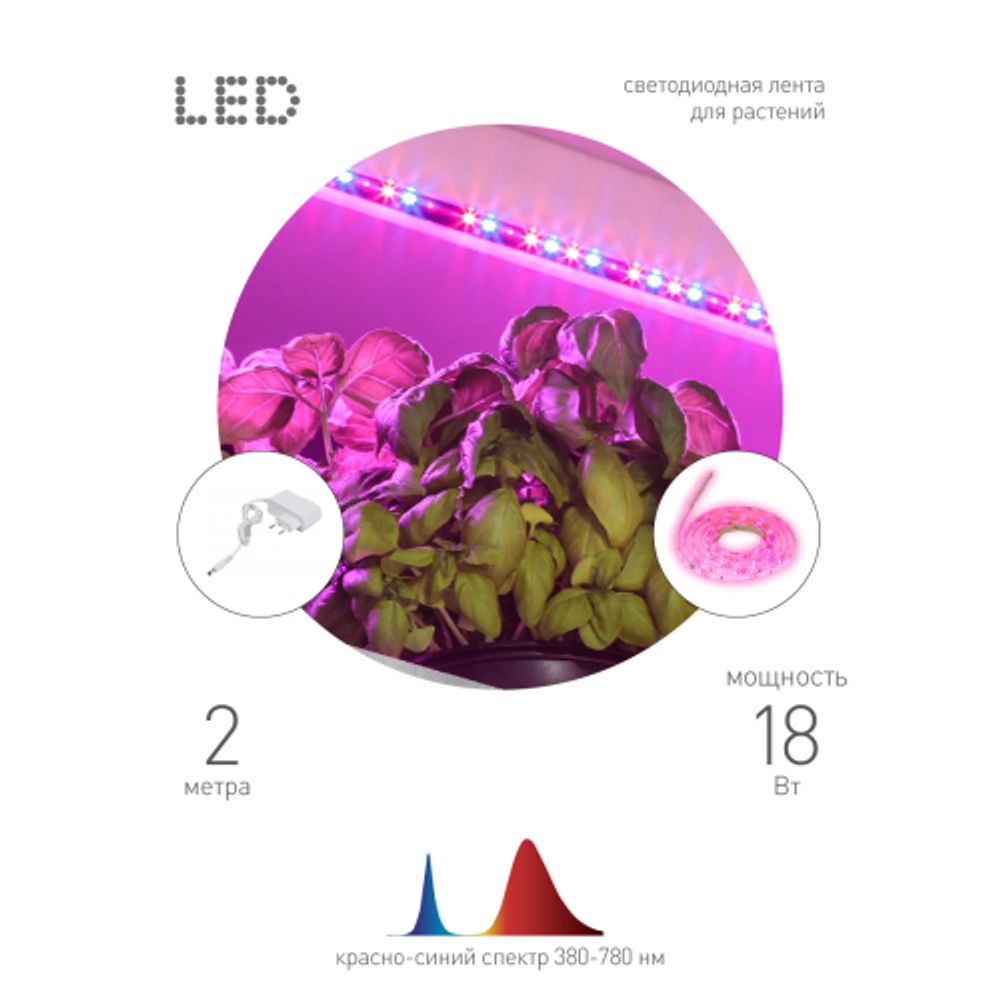 Светодиодная лента для растений ЭРА FITO-Strip Light-RB-2m красно-синего спектра, 2 м, IP65 с адаптером 12V в комплекте | Светодиодные ленты для растений