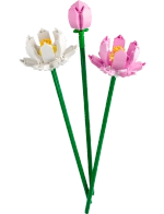 Конструктор LEGO Botanical Collection 40647 Цветы лотоса