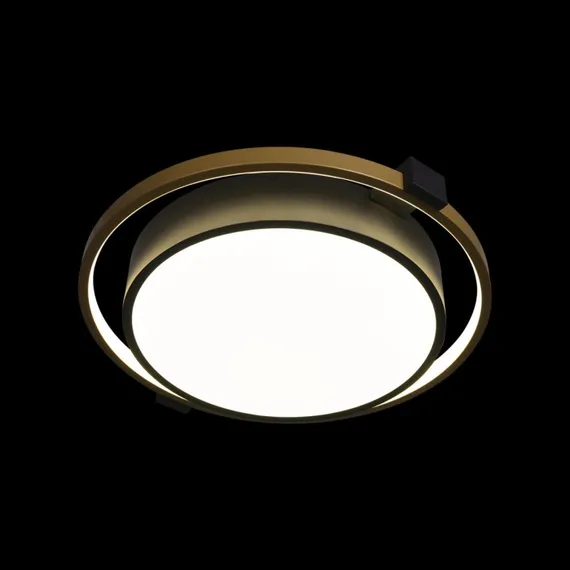 Потолочный светильник Mike 10169 Loft It