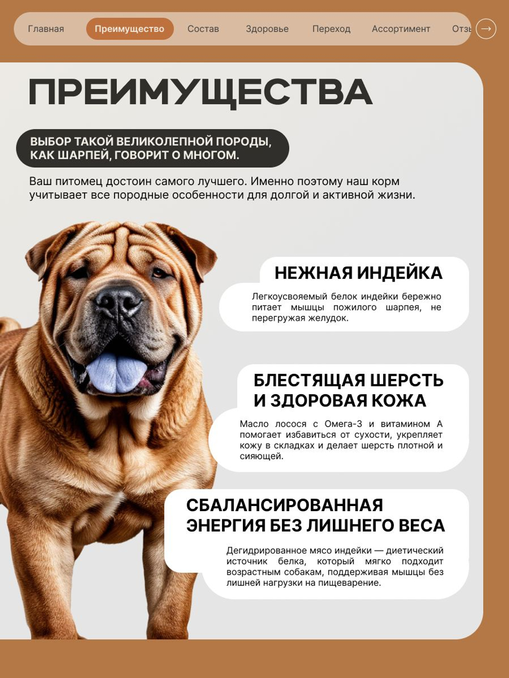 Корм сухой для пожилых собак породы Шарпей старше 5 лет, 12 кг, QUATTRO