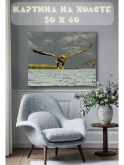 Картина на стену 40 X 50 Хищная птица