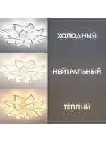 Люстра потолочная светодиодная DF8032/15