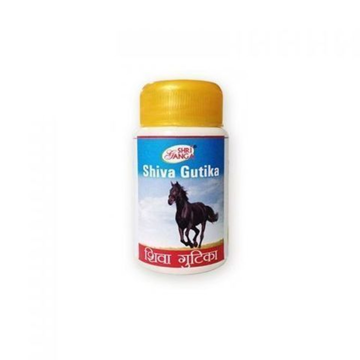 Shri Ganga Shiva Gutika Шива Гутика таб (с конем) 50 г