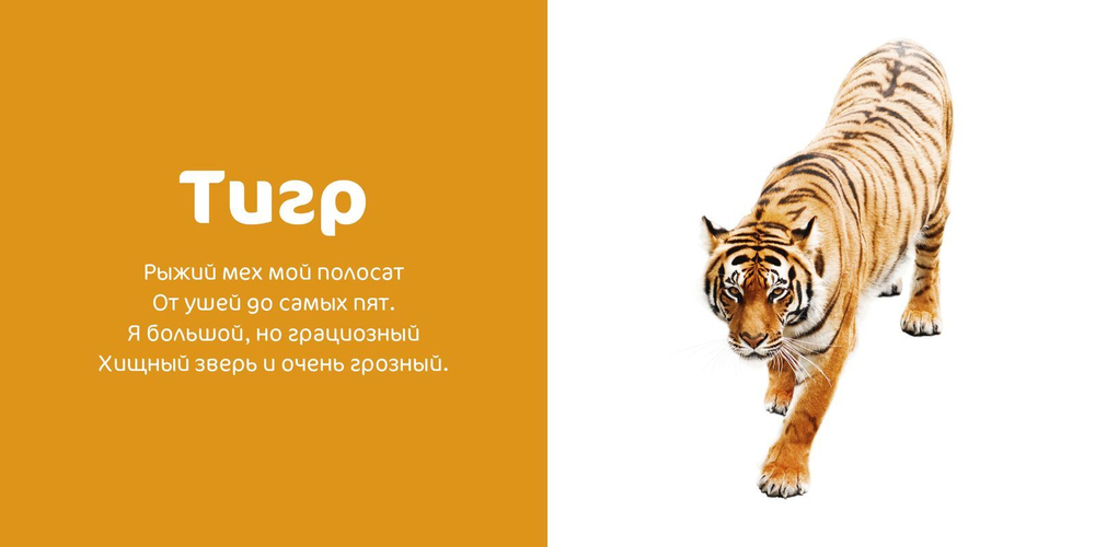 Мир вокруг меня. Любимые животные. Фотокнига