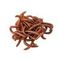 Насадка искусственная съедобная Червь (Earthworm) Helios (HS-NCH-E)