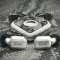 T10 Bespoke Edition Pitone Dargento