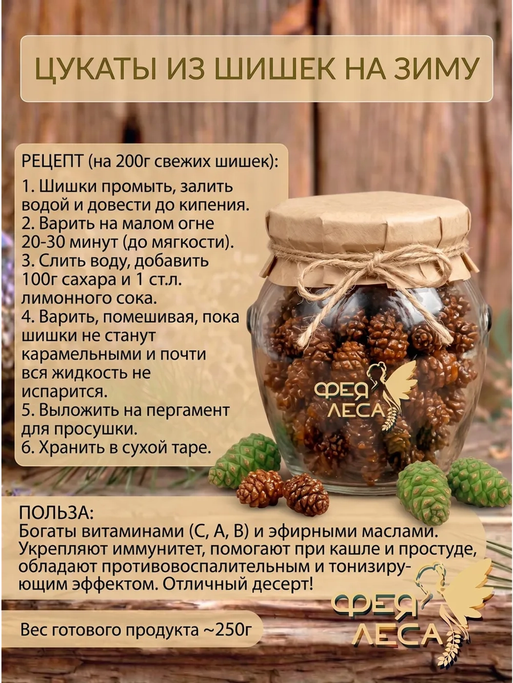 Шишки сосны зеленые для варенья цукатов и заморозки