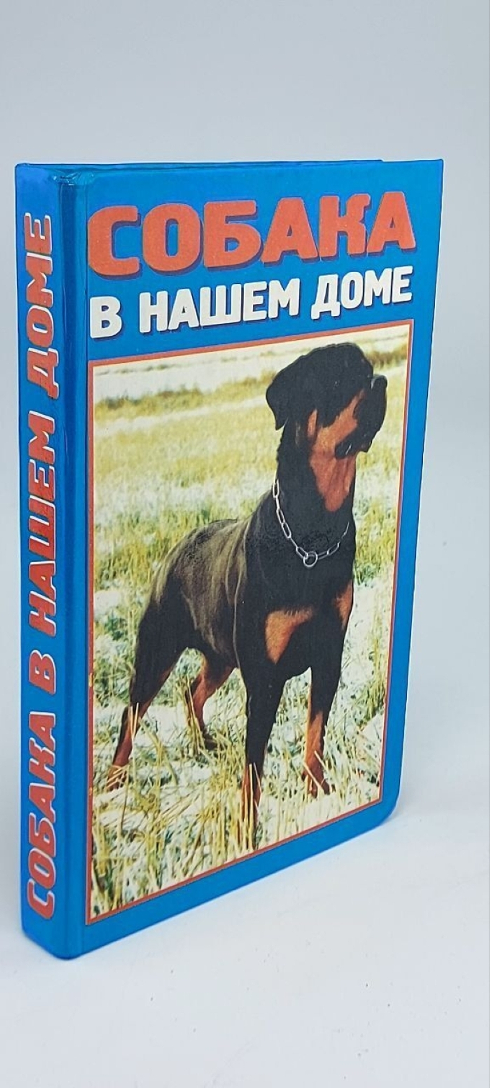 Собака в нашем доме.