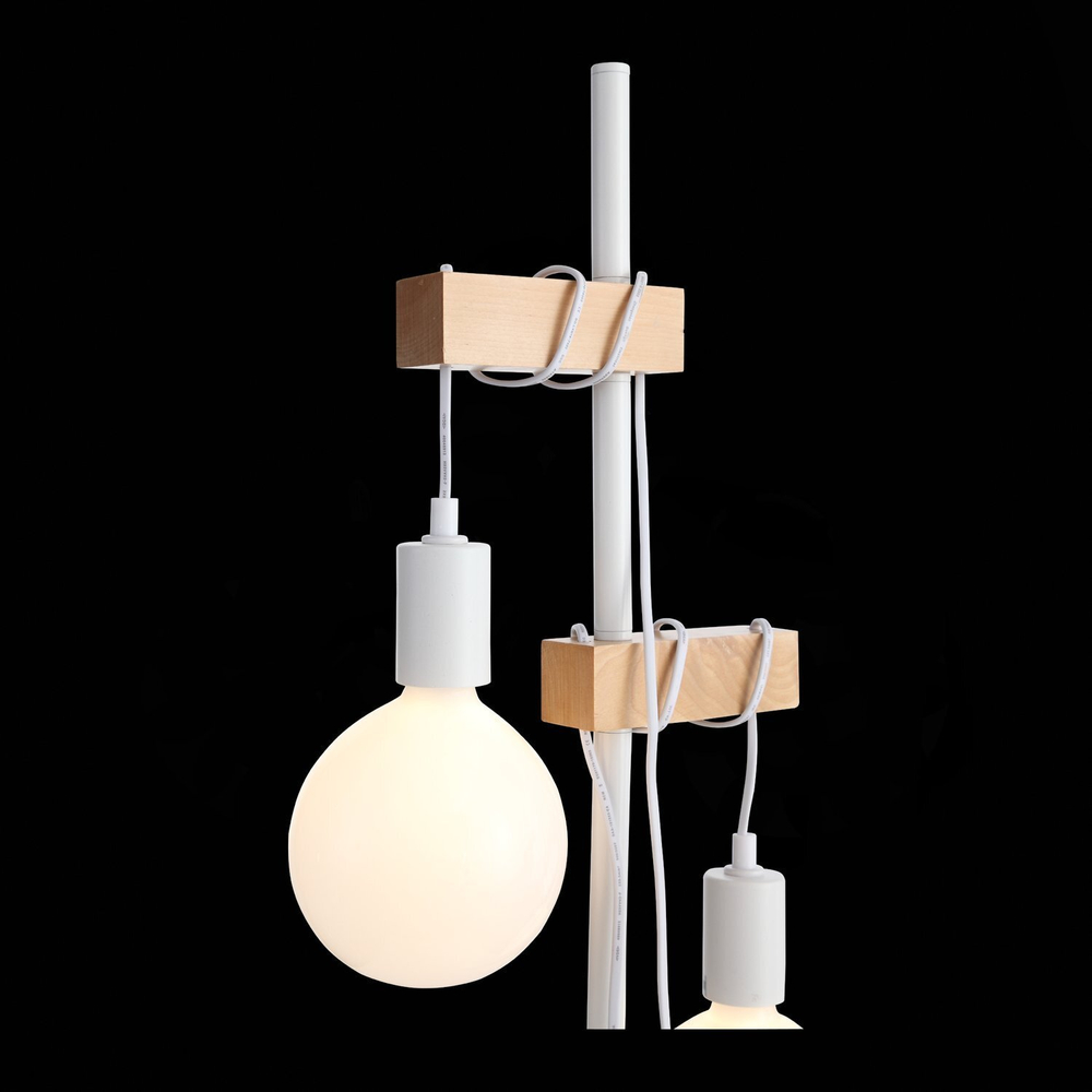 Светильник напольный Evoluce Bagetti SL1142.505.01