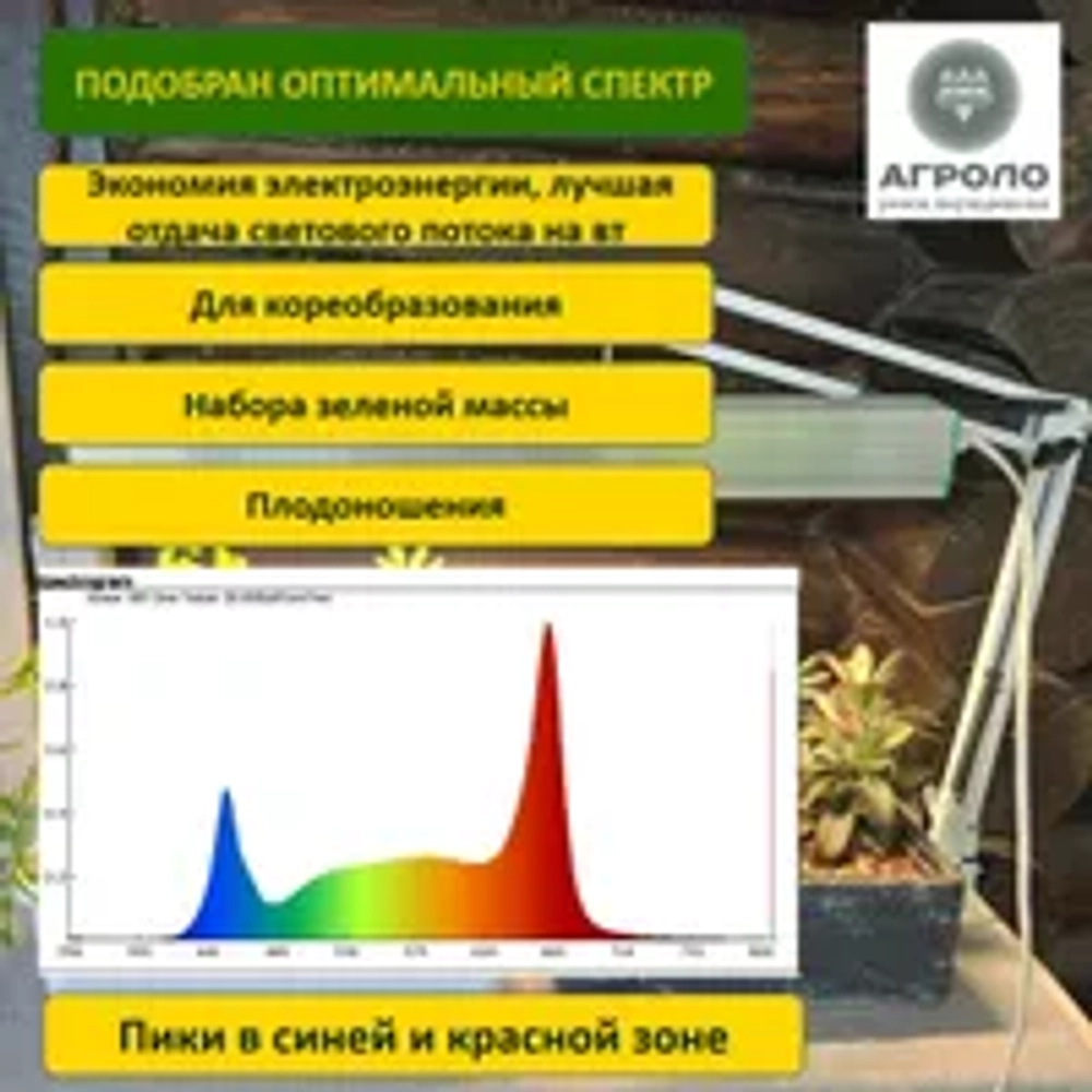 Система выращивания Салатная Максимум АГРОЛО с профессиональной фитолампой, Настольная садовая ферма, Гидропоника