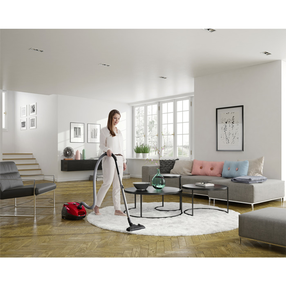 Пылесос Electrolux PowerForce EPF61RR