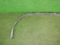 DSCN5163.JPG