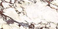Energie Ker Imperial Calacatta Viola LCP 60x120
