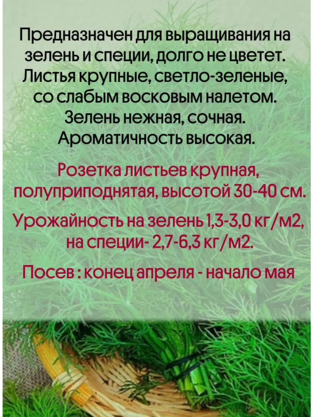 Укроп поздний на зелень и специи Кибрай 10гр