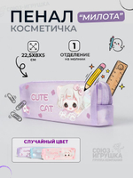 Пенал-косметичка "Милота"квадратная, сетка, 1отд. на молнии, 3цв. D-608B-3767
