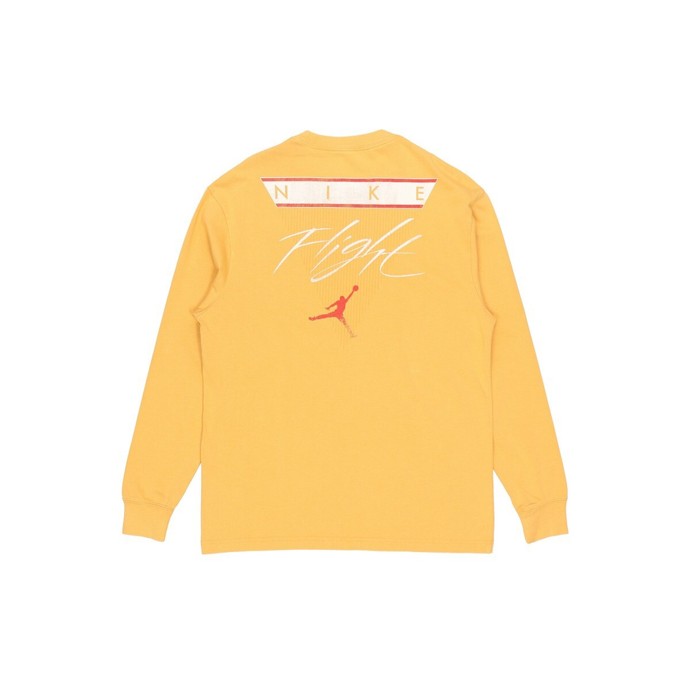 Толстовка Jordan Logo, DD0966-217