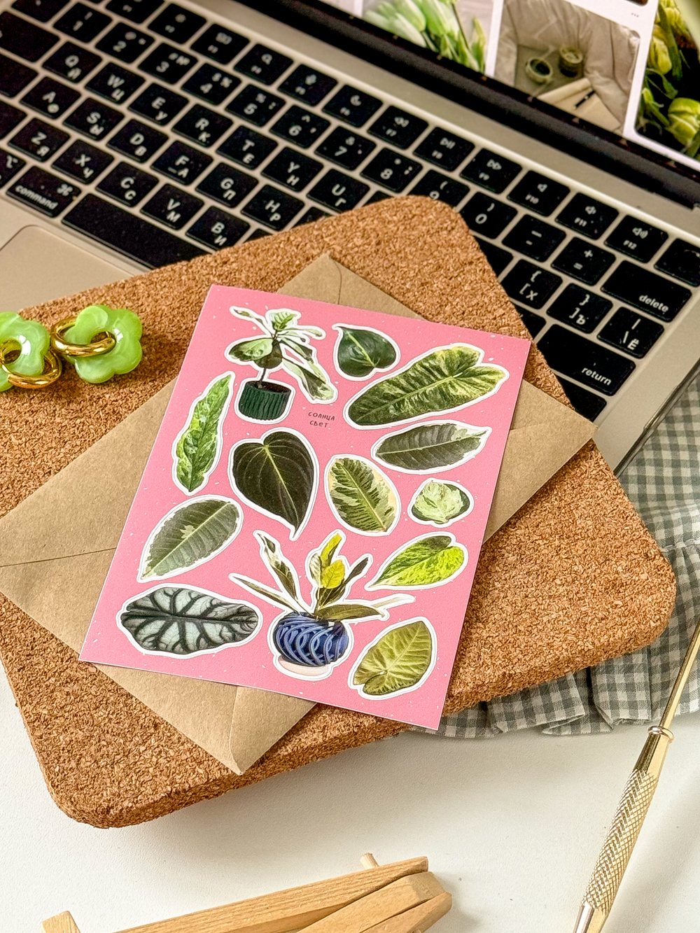 Стикерпак "Фикусы" 🌱