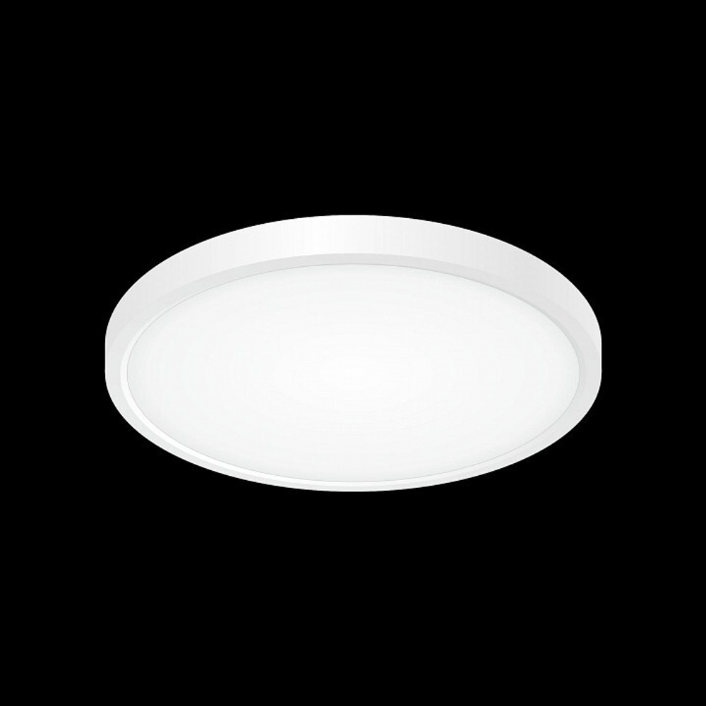 Накладной светильник Citilux Бейсик CL738240V