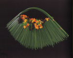 International Annual Floral Art 2006/2007