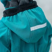 Комбинезон Softshell демисезонный "Изумруд"