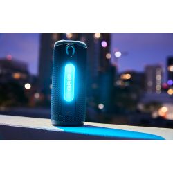 Портативная колонка JBL Grip Squad