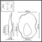 Настенный светильник Coralla 5461/12WL Odeon Light