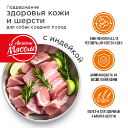 Корм сухой для взрослых собак средних пород, премиум полнорационный комплекс, здоровье кожи и шерсти, с индейкой, 2,5 кг, QUATTRO