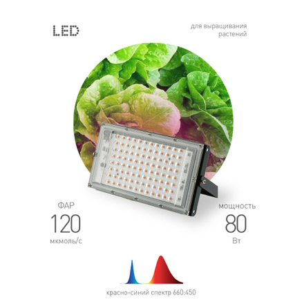 Фитопрожектор для растений светодиодный ЭРА FITO-80W-RB-LED-Y красно-синего спектра