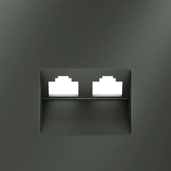 Накладка для розетки компьютерной двойной RJ45+RJ45 кат.6 Voltum S70 Титан VLS001406
