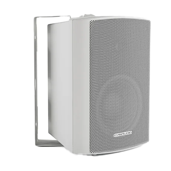 CVGAUDIO NF4TW настенная двухполосная акустическая система