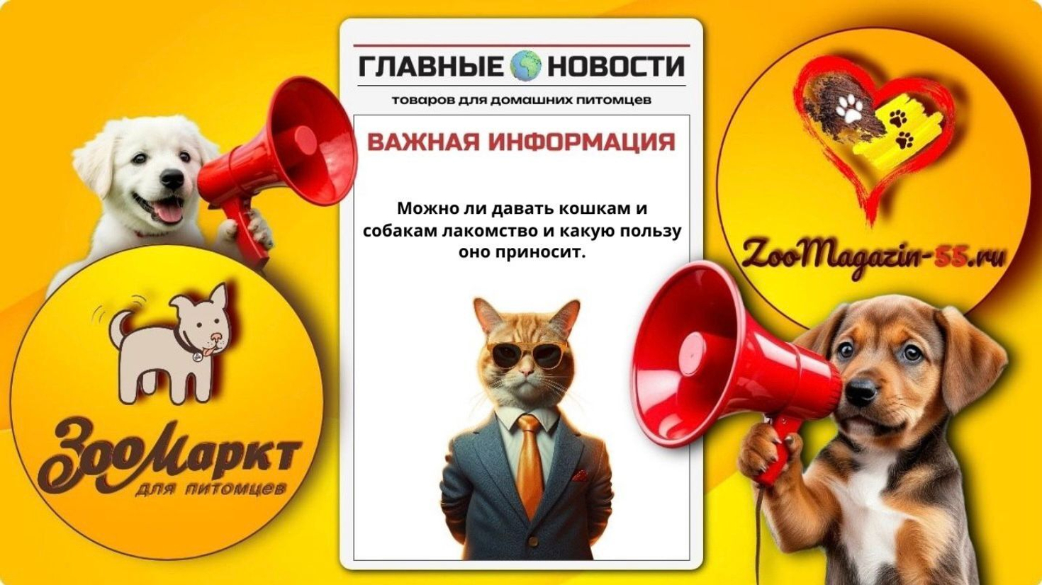 Лакомства для кошек и собак