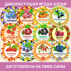 Чабрец (тимьян)
