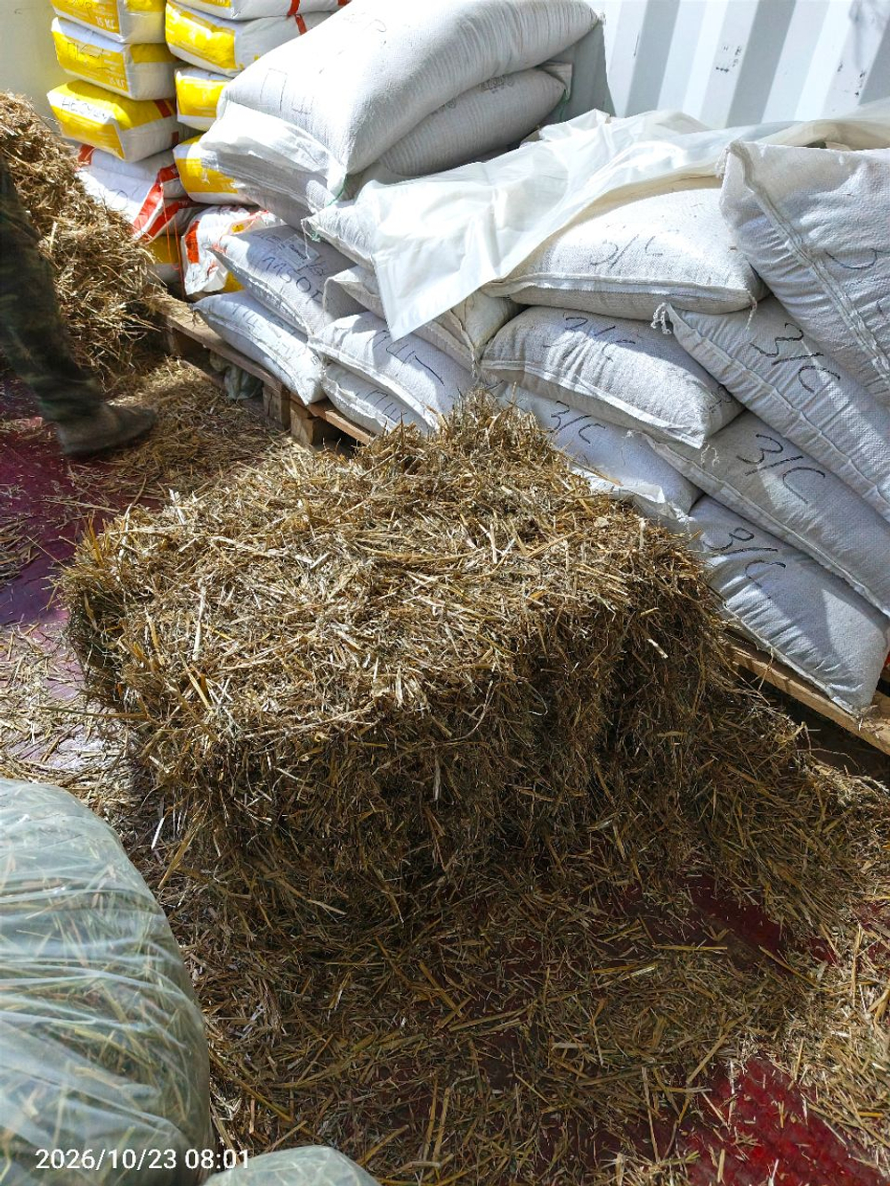 Солома в тюках в будку собакам