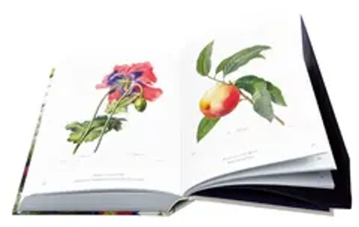 Артбук Book of Flowers - 40th Anniversary Edition (на английском языке)