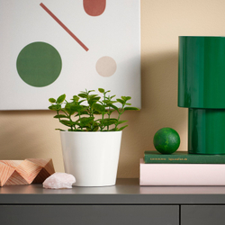 IKEA FEJKA  (ИКЕА ФЕЙКА)  -  Искусственное растение в горшке - для дома/улицы мята 9 см