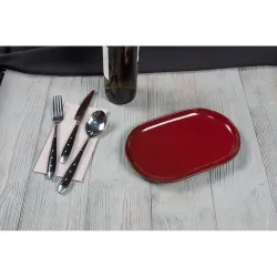 Блюдо овальное 25*16 см h2,4 см Evolution Dark Red P.L. Proff Cuisine [1]