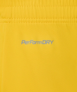 Шорты вратарские JOGEL PREMIER PerFormDRY GK Shorts Yellow, желтый