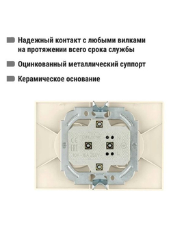 Розетка двойная 2П с защ. шт. 10А 250В сл. кость "Таймыр" TDM