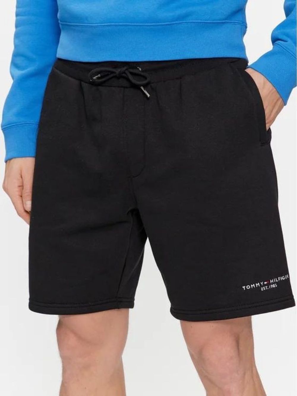 Шорты спортивные мужские TOMMY HILFIGER SMALL LOGO