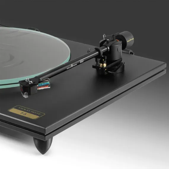 Gold Note T-5 Black