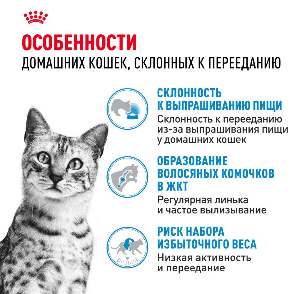Уценка! Срок 30.07.26/ Сухой корм Royal Canin Indoor Appetite Control для взрослых кошек, живущих в помещении и склонных к перееданию