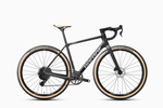 Borant OMNI II WHALEROAD R7 1x14 (2027)